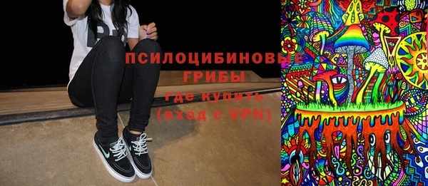 эйфоретик Карпинск