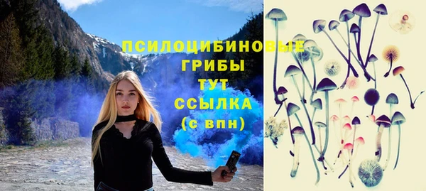 jwh Козельск