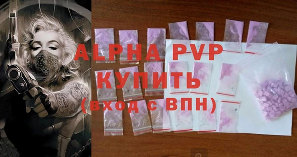 хмурый Кодинск