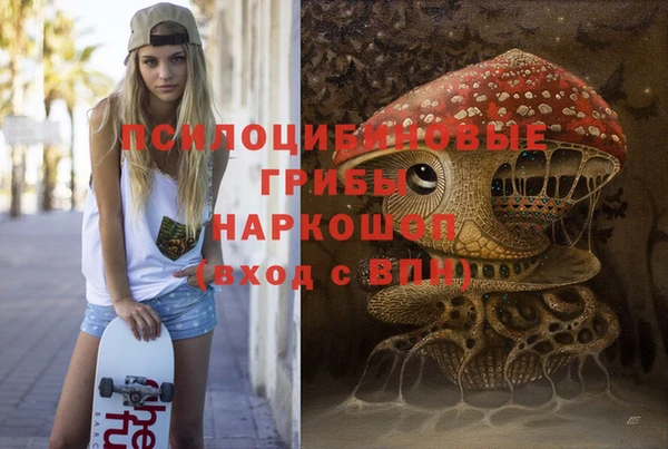 jwh Козельск